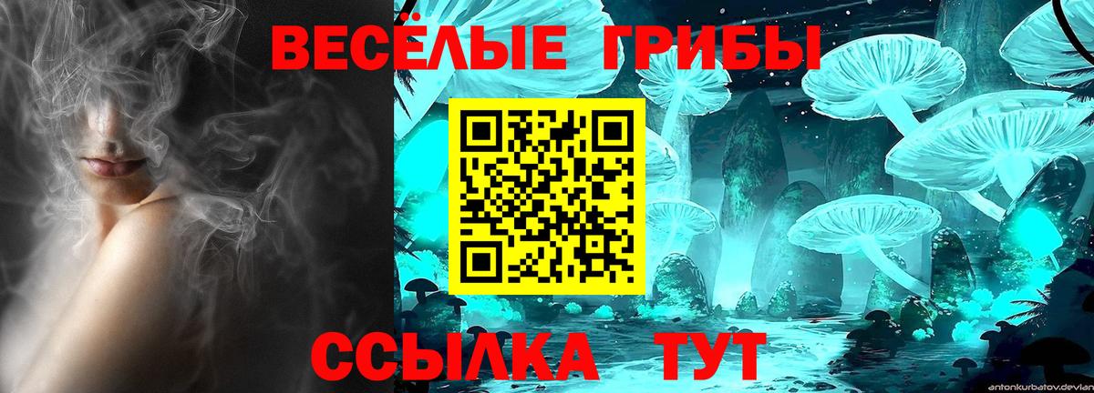 Галлюциногенные грибы прущие грибы Сосновоборск