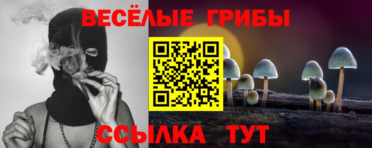 Галлюциногенные грибы прущие грибы  Вход с VPN  Псилоцибиновые грибы ЛСД  цены   Сосновоборск 